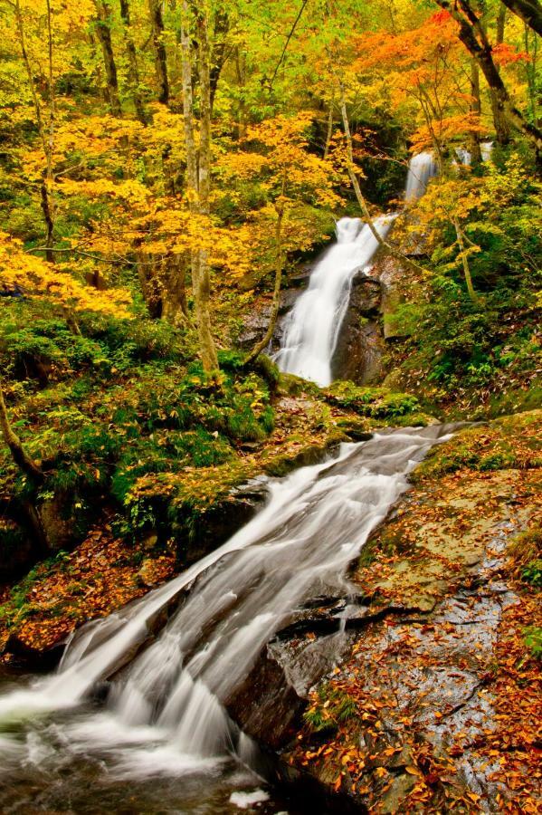 Вилла Hida-Takayama Michi Экстерьер фото